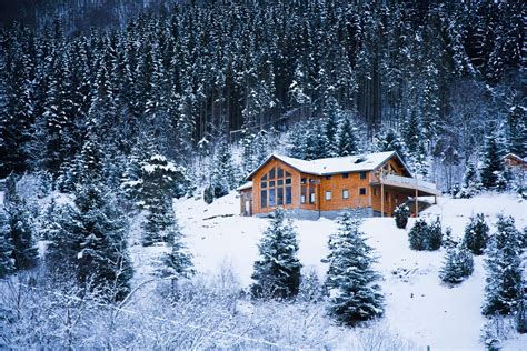💎 Read Online A Home in the Snow