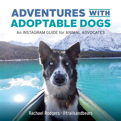 🎁 Free Download Ebook Adventures with Adoptable Dogs: An Instagram Guide for Animal Advocates