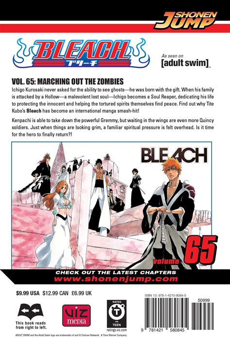 🎁 Download Link Bleach, Vol. 65 (65)