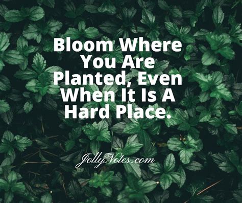 😲 Download Ebook Bloom Where Planted