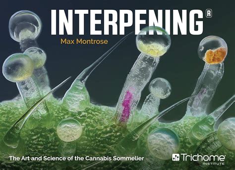 🔥 Download Ebook Interpening: The Art and Science of the Cannabis Sommelier