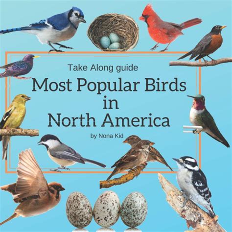 🤑 Download Ebook Most Popular Birds in North America: Bird Watching Guide for Kids