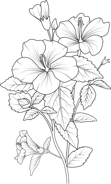 💎 Free Reading Plant And Flower Coloring Book: A Beautiful And Calming Botanical Coloring Book For Women