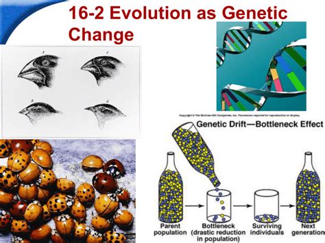 🤑 Free Read biology workbook chapter 16 2 evolution as genetic change