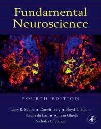 🎁 Free Download Ebook download fundamental neuroscience 4th edition pdf
