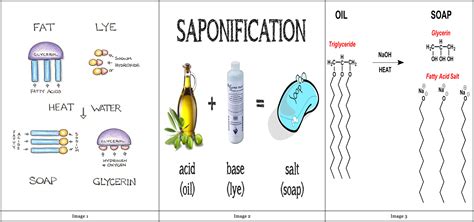 🤑 Download Link saponification and the making of soap an example of