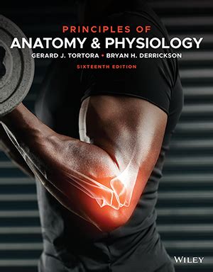😈 Link Download wiley plus anatomy and physiology answe pdf
